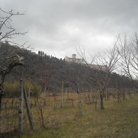 Camere Le Cascatelle Assisi Buitenkant foto