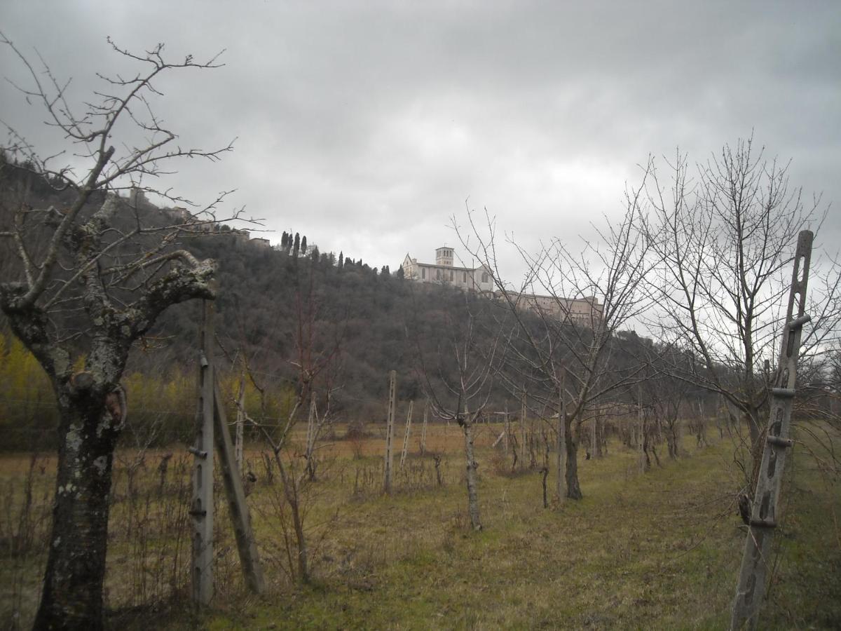 Camere Le Cascatelle Assisi Buitenkant foto